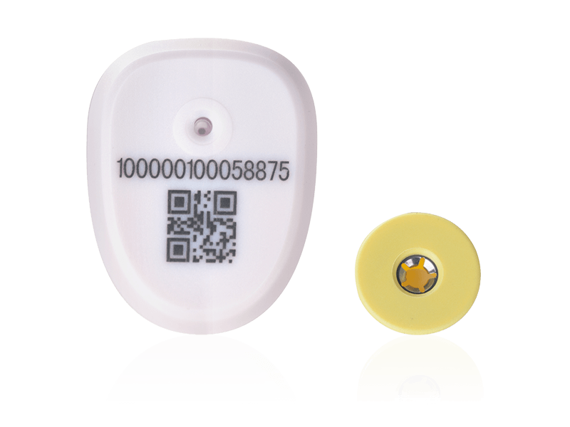Tag Telinga RFID 2.4G