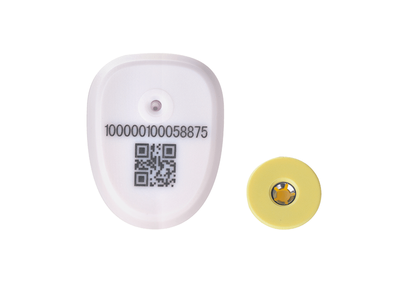Tag Telinga RFID 2.4G